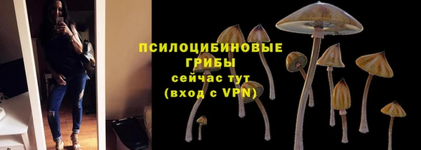 гидропоника Пролетарск