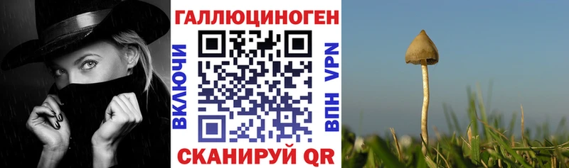 закладки  Шарыпово  OMG ONION  Псилоцибиновые грибы Psilocybe 