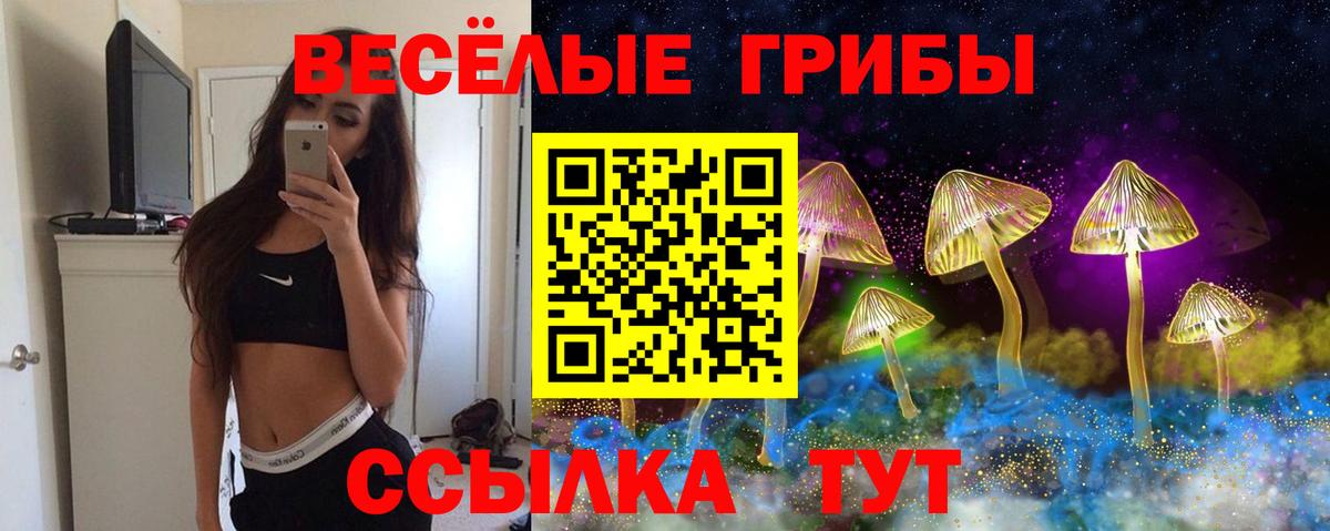 Шарыпово  Псилоцибиновые грибы мицелий  Вход с VPN 