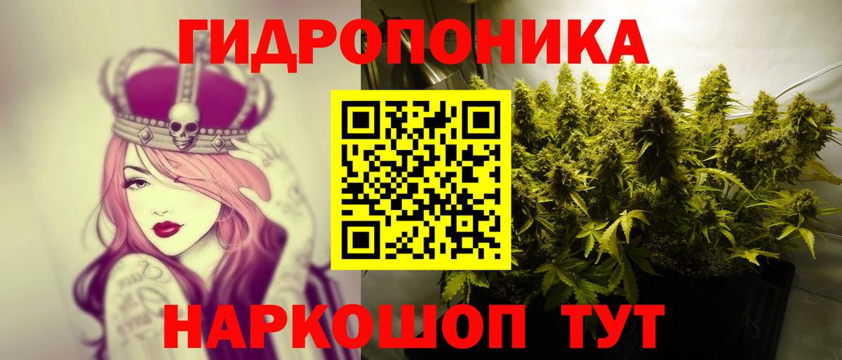 Шишки марихуана планчик Шарыпово
